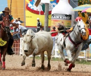 World Coleo Encounter. Source:www.llanoguia.com